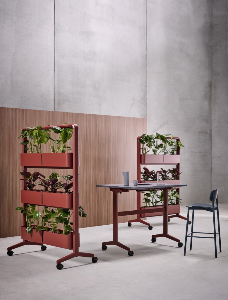 Zenith Kissen Create